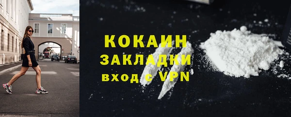 соль ск Белокуриха