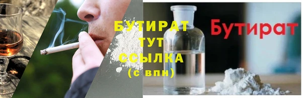прущие грибы Сосновый Бор