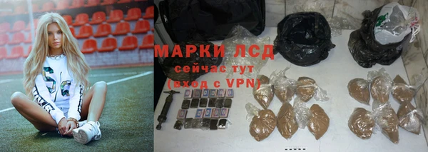соль ск Белокуриха